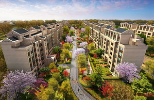 上海首創(chuàng)禧悅·晴朗 全景解析配套實(shí)景、樣板間與戶型設(shè)計(jì)